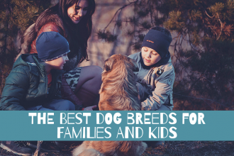 Best Dog Breeds for Families and Kids