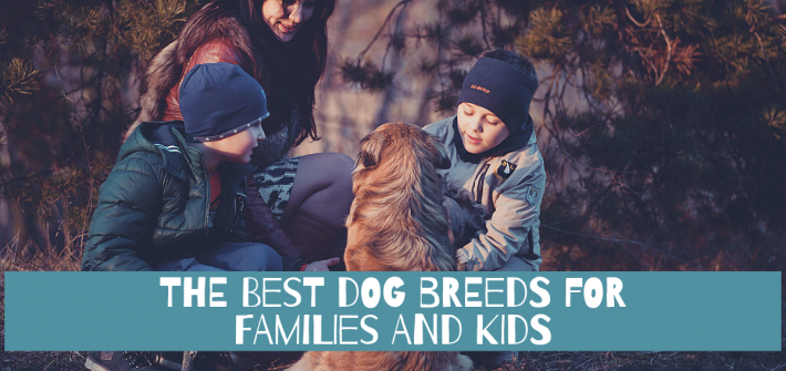 Best Dog Breeds for Families and Kids