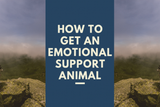 How to get an emotional support animal