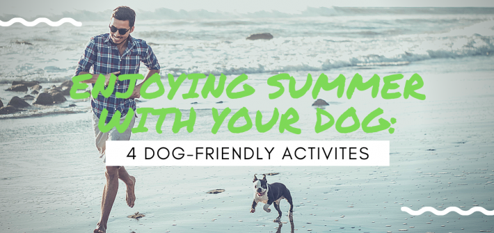 4 Dog Friendly Activities to do with your dog this summer