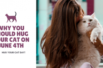 Why you should hug your cat on June 4th