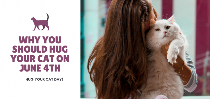 Why you should hug your cat on June 4th