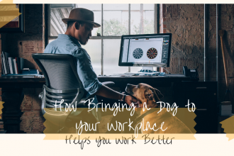 How bringing a dog to your workplace helps you work better