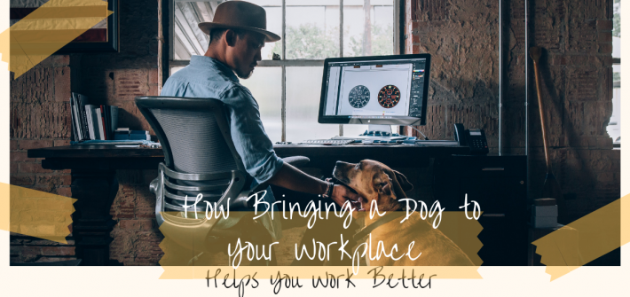How bringing a dog to your workplace helps you work better