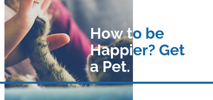 How to be Happier? Get a Pet.