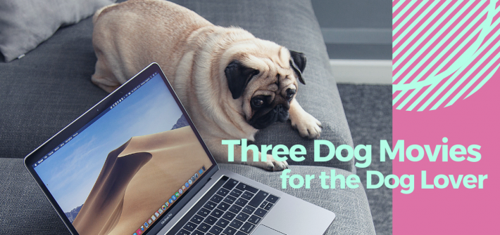 Three Dog Movies for the Dog Lover