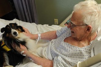 therapy dog for seniors
