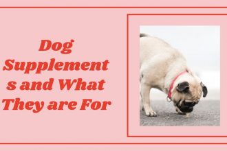 Dog Supplements