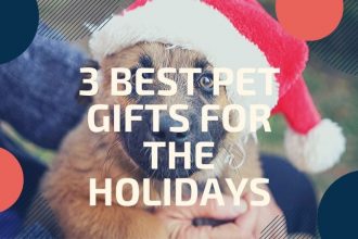 Best Pet Gifts