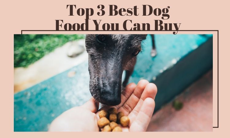 dog food