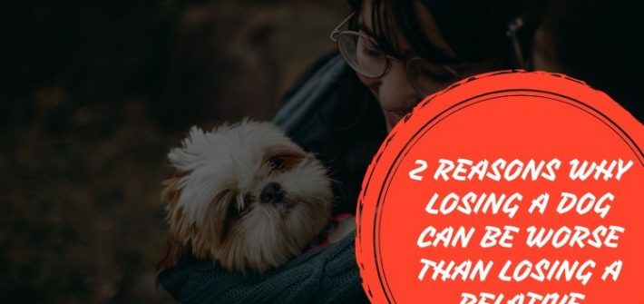 losing a dog